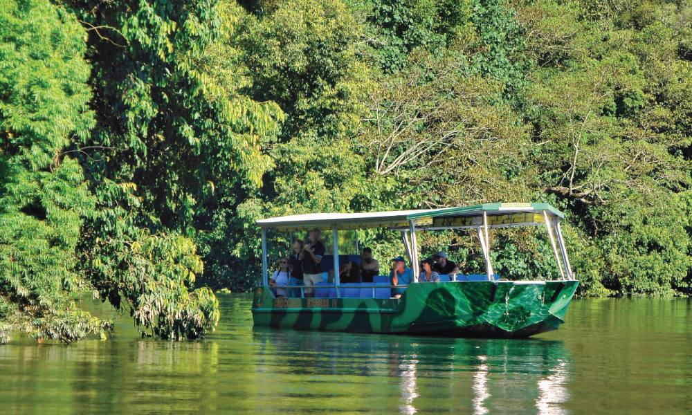 Crocodile Express Daintree Cruise from Daintree Gateway