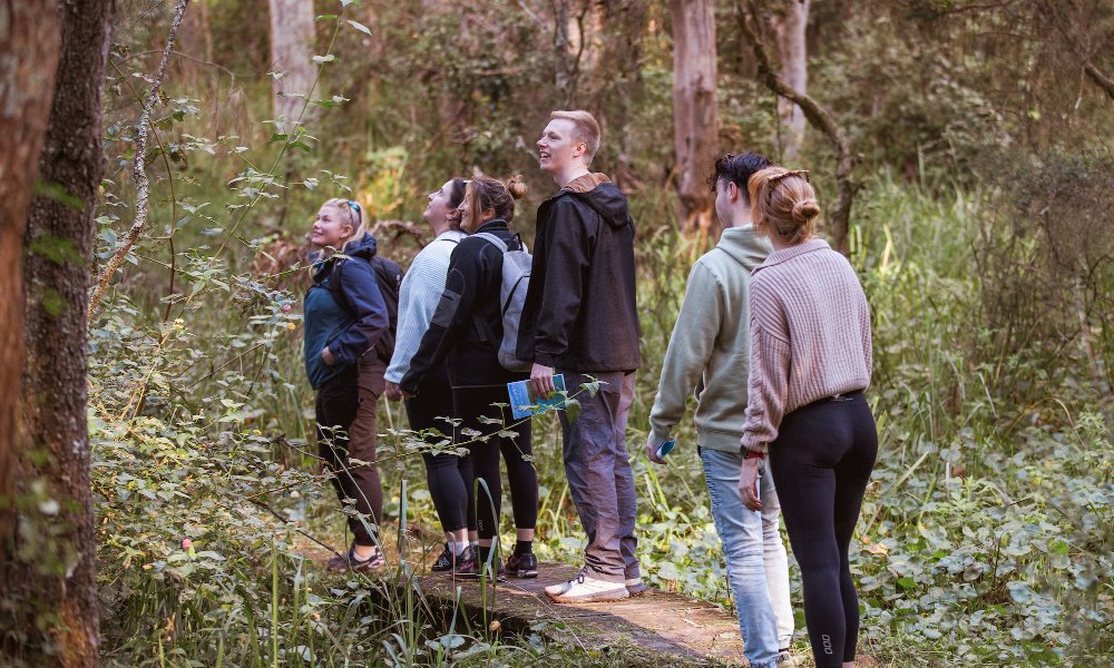 Lake Macquarie Adventure Cruise and Nature Walk