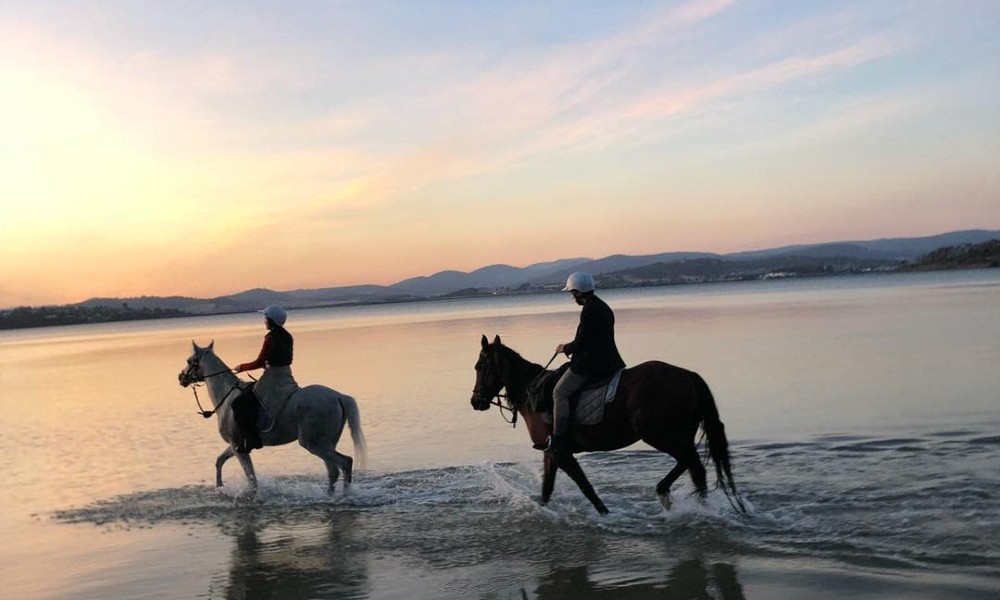 Guided Horse Ride on 7 Mile Beach in Cambridge – 2 Hours