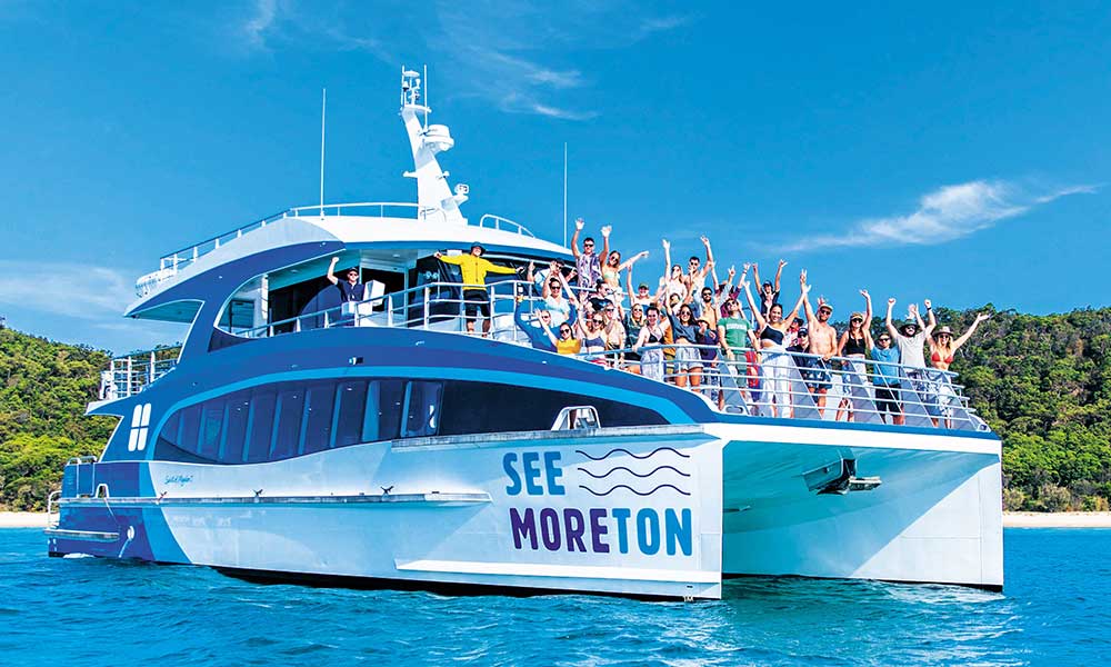 Dolphin & Tangalooma Wrecks Cruise with Brisbane City Transfers