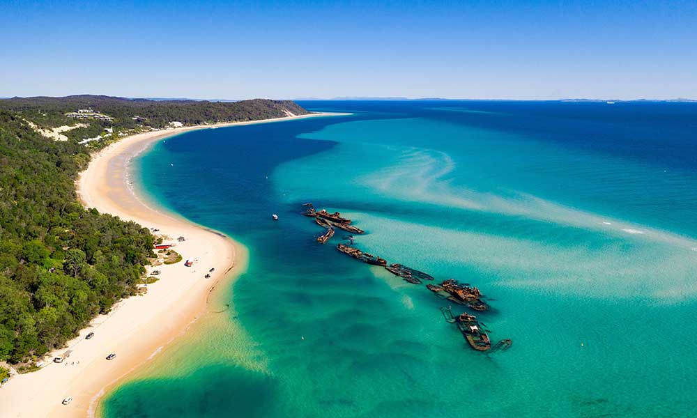 Dolphin & Tangalooma Wrecks Cruise with Brisbane City Transfers