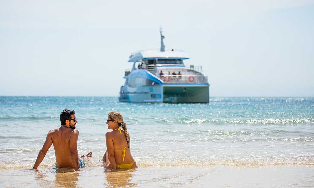 Dolphin & Tangalooma Wrecks Cruise with Brisbane City Transfers