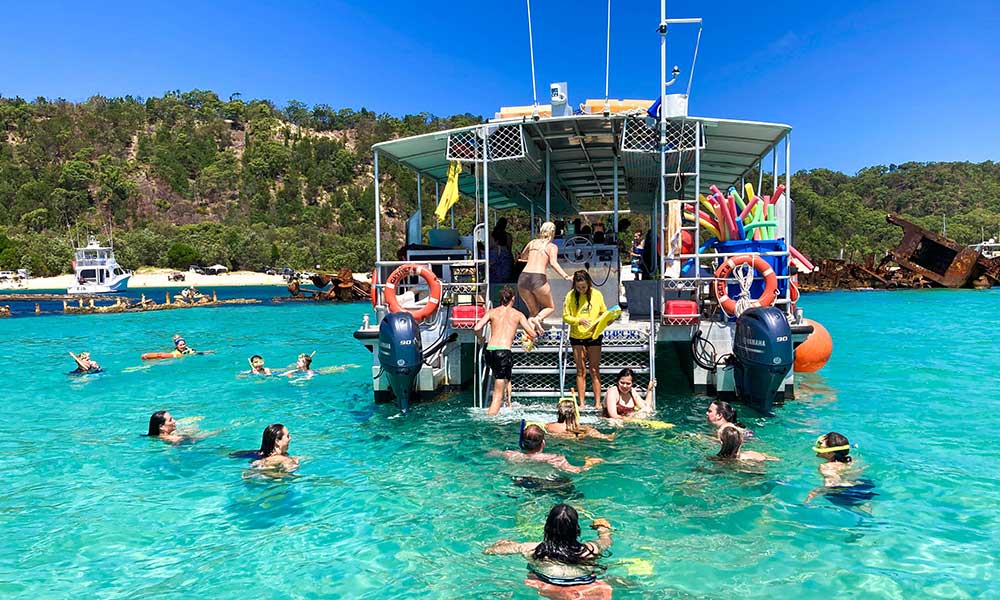 Dolphin & Tangalooma Wrecks Cruise with Brisbane City Transfers