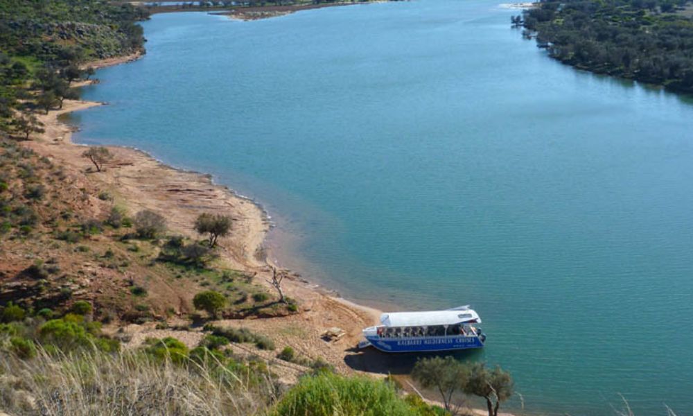 Morning Cruise on Murchison River Kalbarri