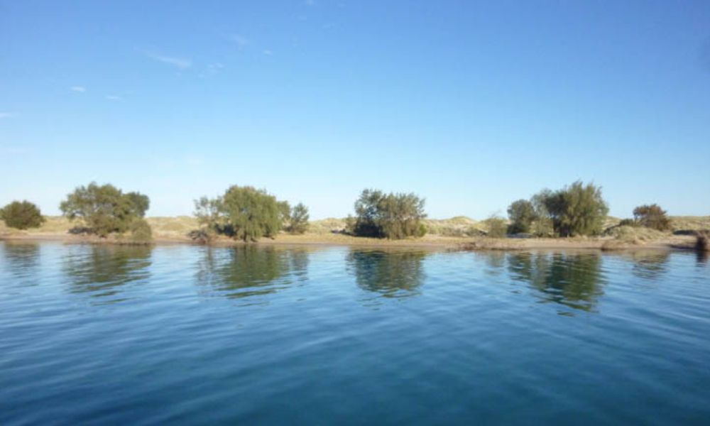 Morning Cruise on Murchison River Kalbarri