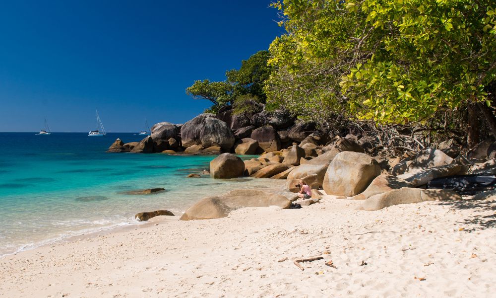 1 Day Transfer to Fitzroy Island - Full Day