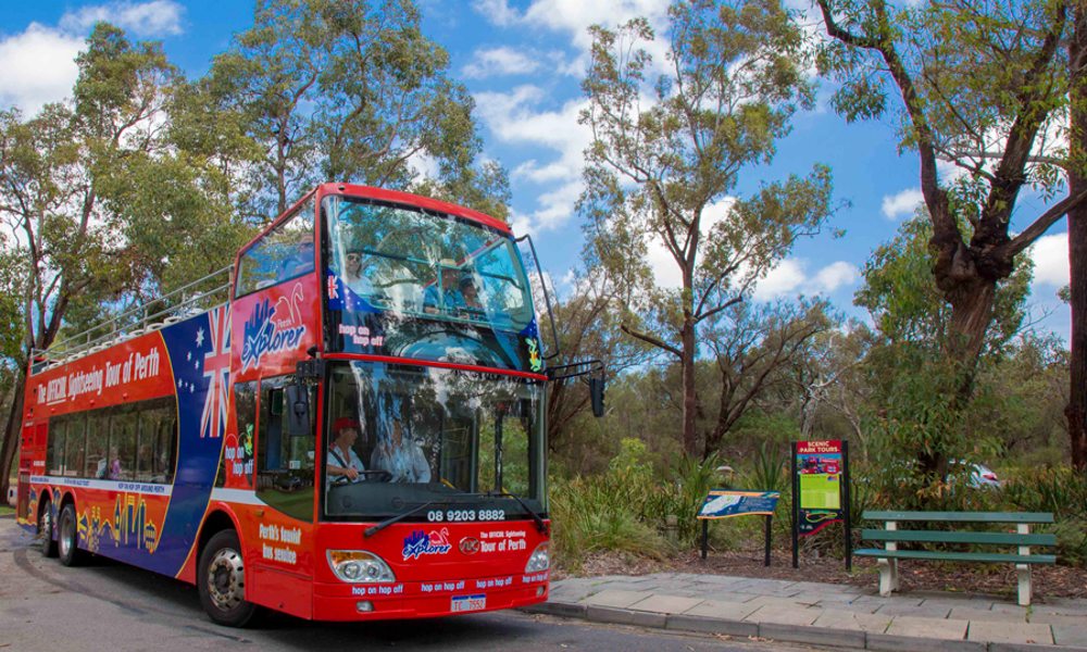 Open Top Bus Tour of Perth and Kings Park