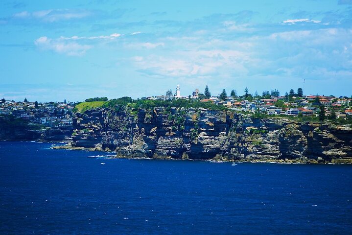 Private Half Day Sydney Tour - North To Manly Beach