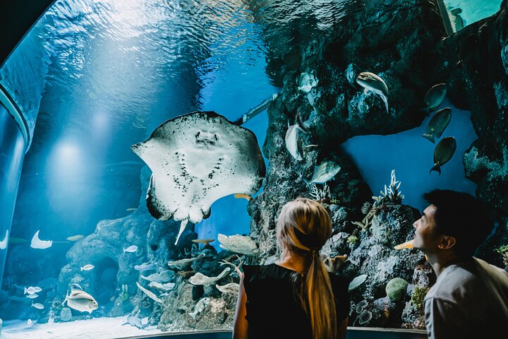 Cairns Aquarium by Sunrise