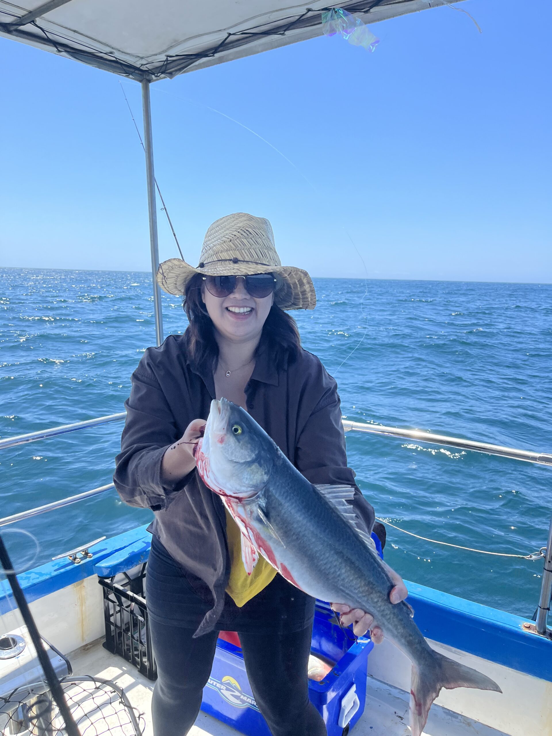 Full day reef and sport fishing