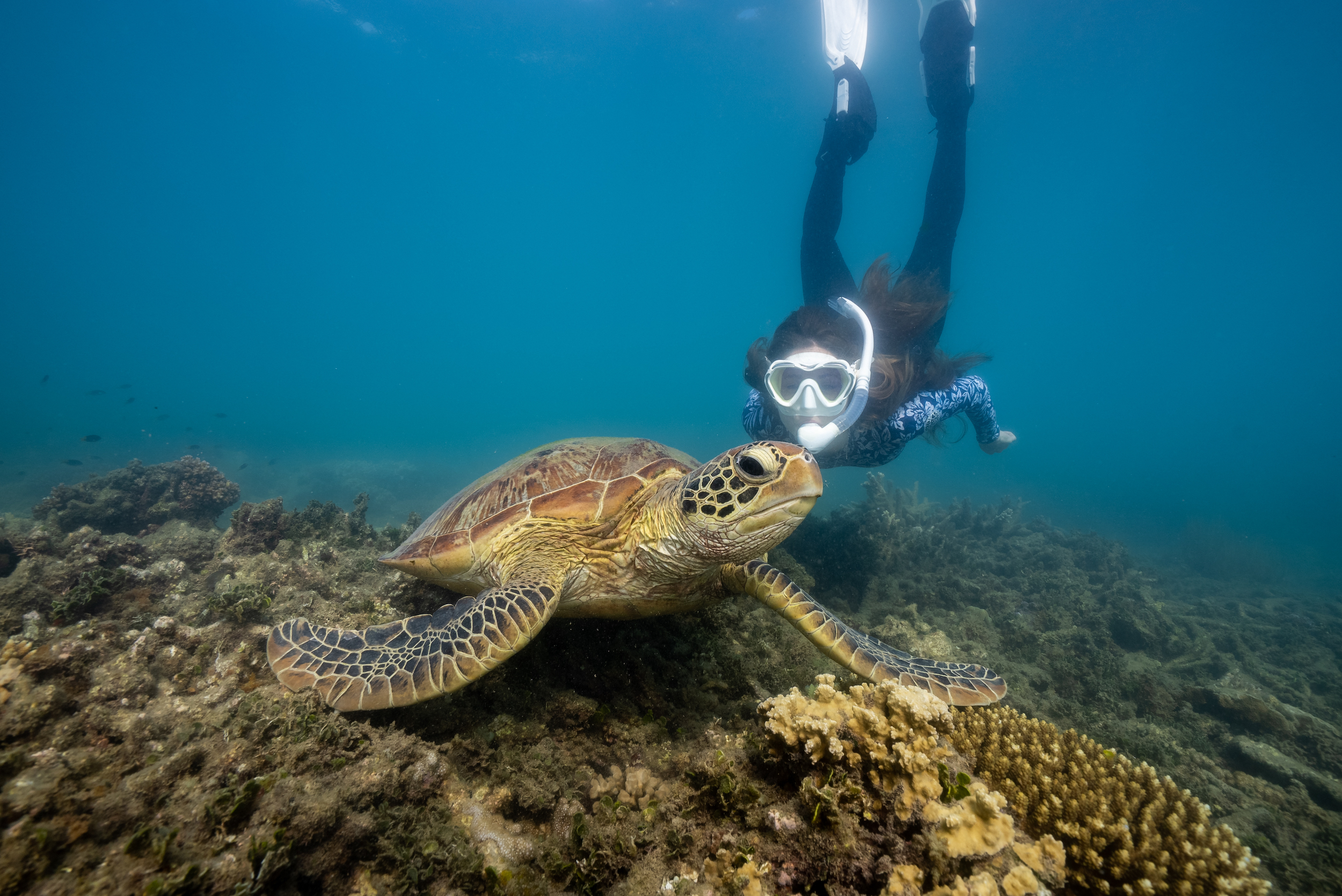 Cairns to Fitzroy Island Transfers