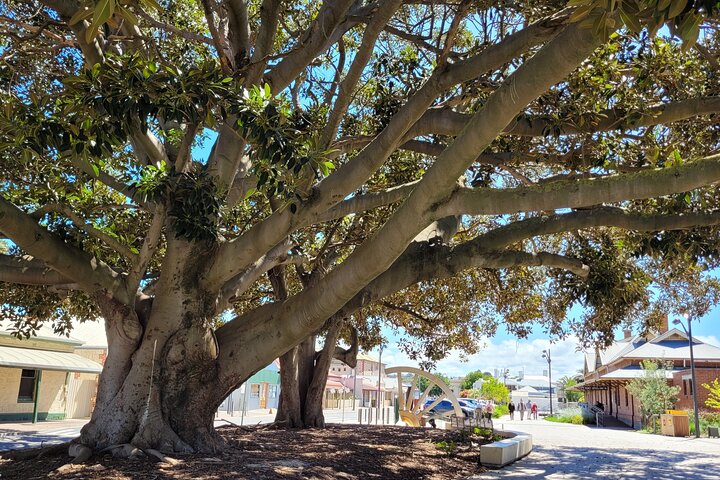 Victor Harbor History and Landscapes Walking Tour