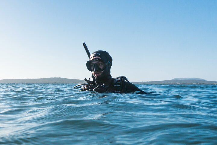 Discover Scuba Diving in Coffin Bay! Try-Dive Experience