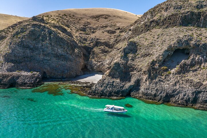 Sea Wirrina Tour - From Wirrina Cove