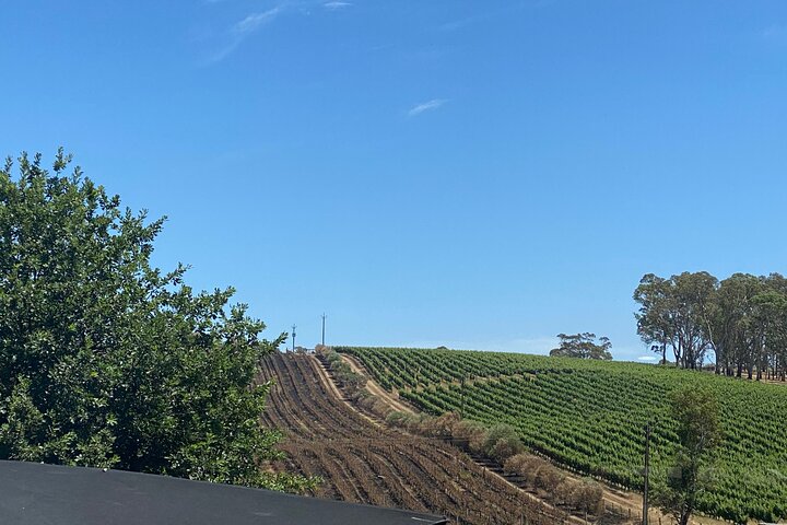 Full-Day VIP Hahndorf and McLaren Vale Private Tour
