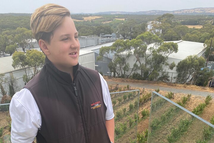 Full-Day VIP Hahndorf and McLaren Vale Private Tour