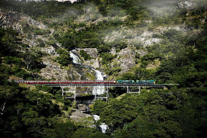 Port Douglas: Kuranda Day Tour with Skyrail Rainforest Cableway and Scenic train