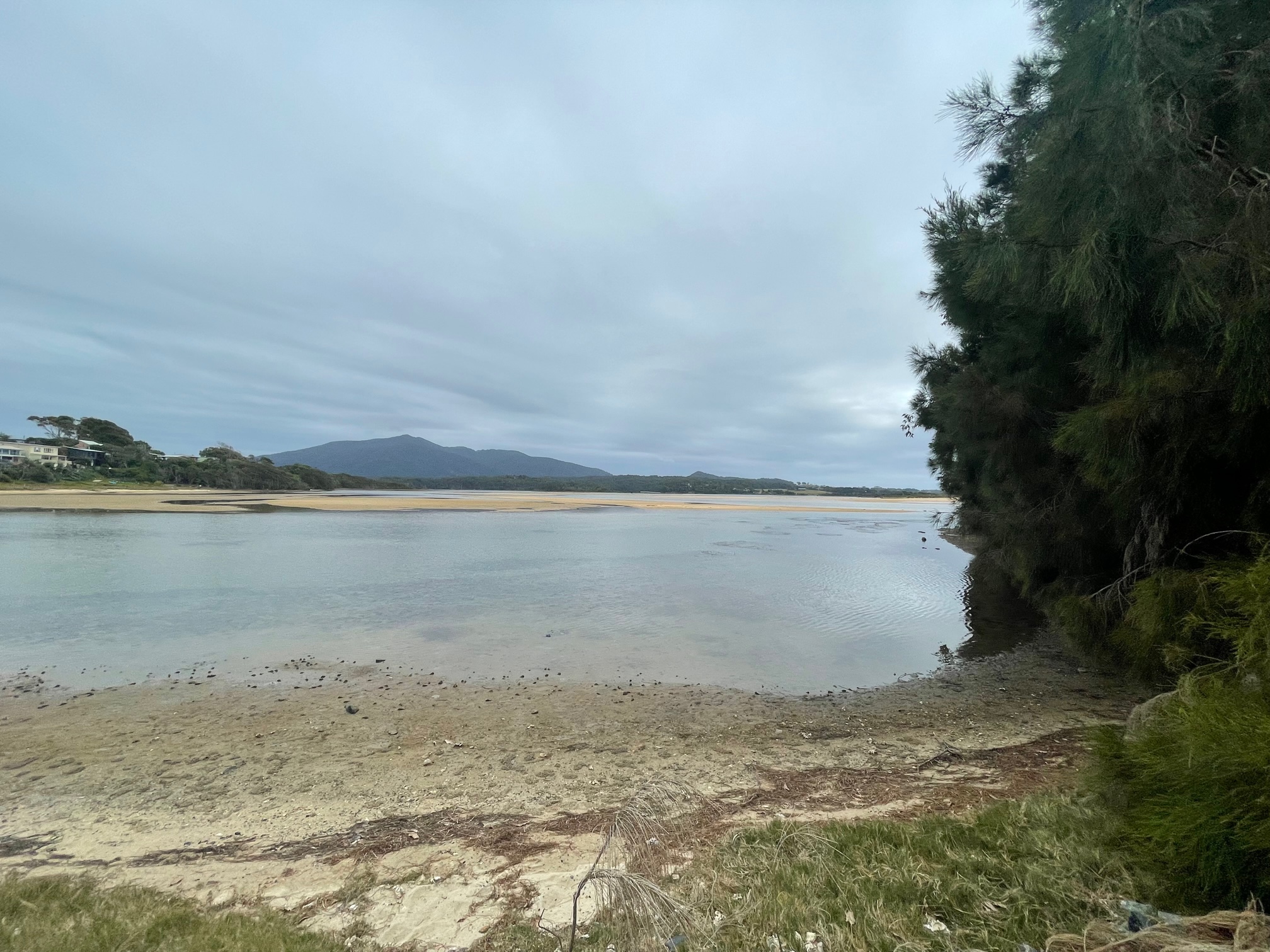 WALKING ON COUNTRY WITH WARREN FOSTER OF YANNAGA YOOWAGA TOURS AT WALLAGA LAKE