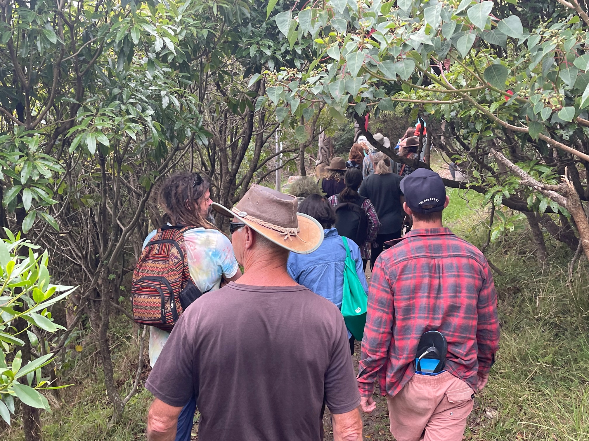 WALKING ON COUNTRY WITH WARREN FOSTER OF YANNAGA YOOWAGA TOURS AT WALLAGA LAKE