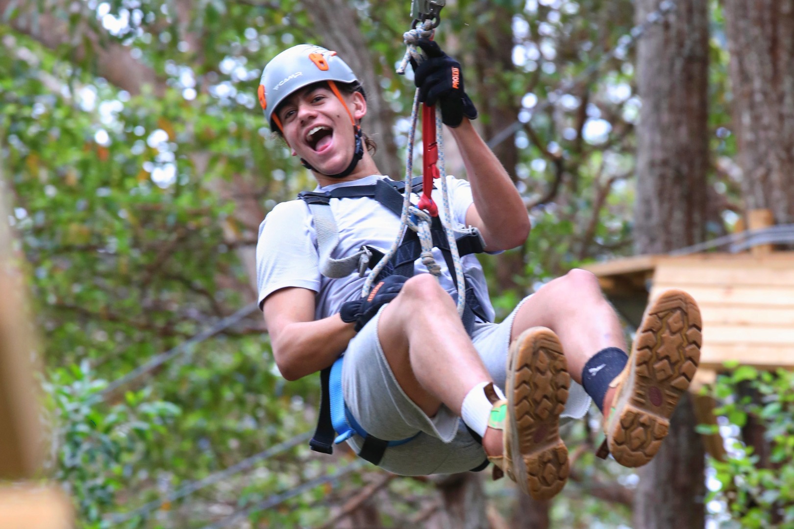 Currumbin Adventure Park – TreeTop Challenge