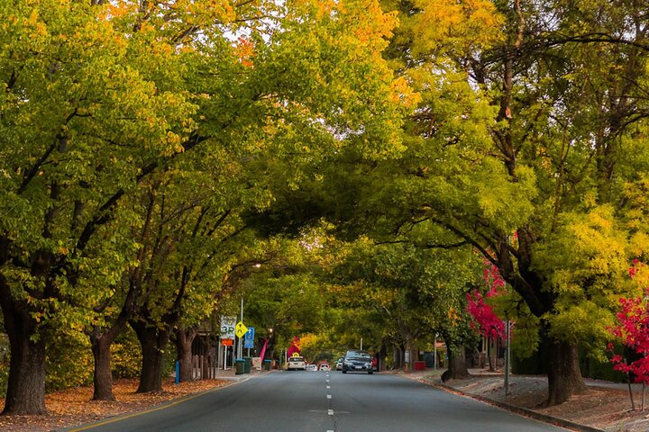 Full-Day VIP Barossa Valley Private Tour