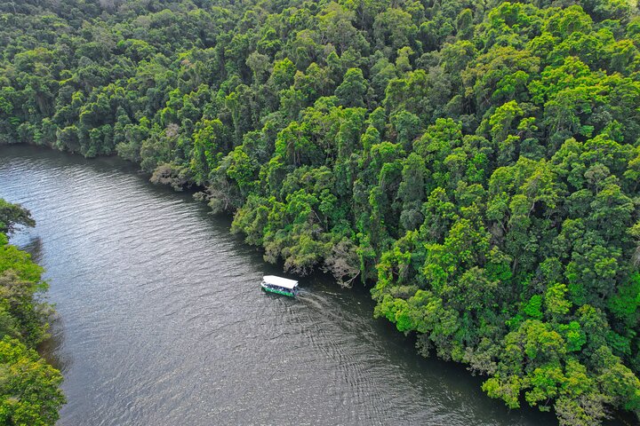 Daintree River Cruise