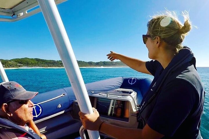 Byron Bay Dolphin Tour – Ocean Safari