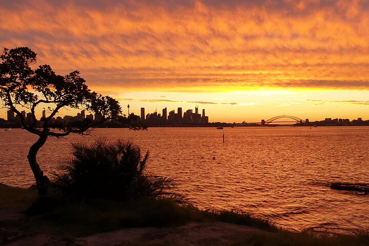 Sydney Harbour Sunset Dinner Paddle