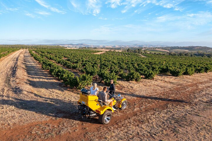 Private Barossa's Best Sightseeing Tour for Two