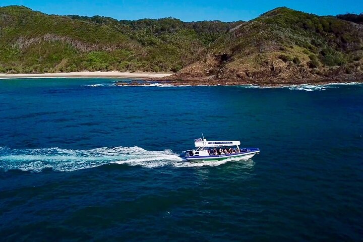 Byron Bay Dolphin Tour - Ocean Safari