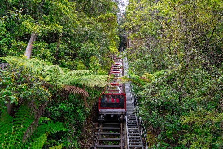 Brisbane Segway Sightseeing Tour