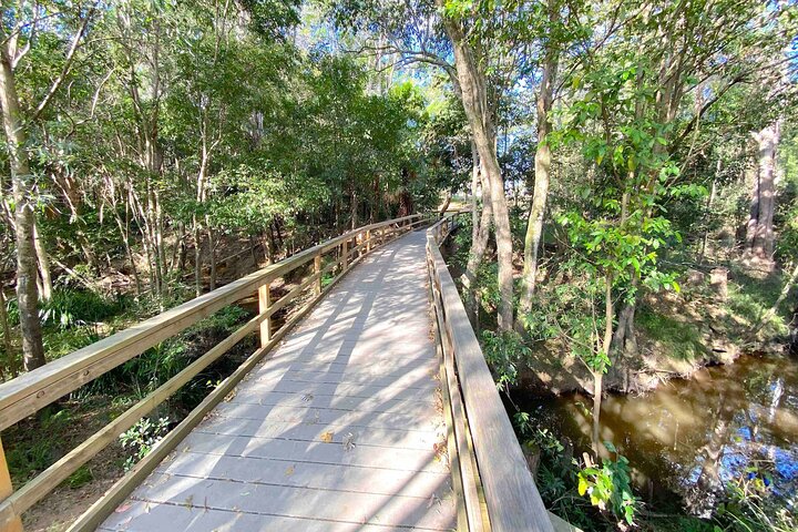 West of Noosa Tour with Lunch, Cooroy, Mt Tinbeerwah, Eumundi