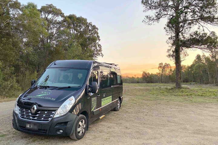 West of Noosa Tour with Lunch, Cooroy, Mt Tinbeerwah, Eumundi