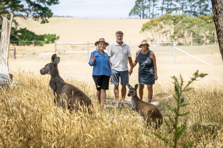 Adelaide to Deep Creek National Park – Bush walking, Beaches and Kayaking