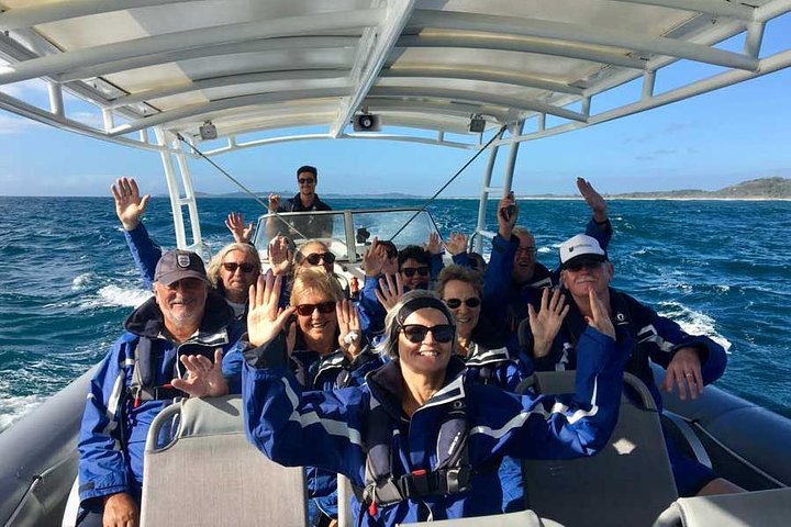 Byron Bay Dolphin Tour - Ocean Safari