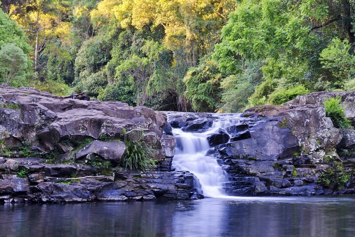 Country Drive in Sunshine Coast Hinterland Guided Tour with Lunch