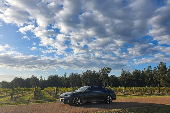 Hunter Valley Wine Country Luxury Tour from Sydney