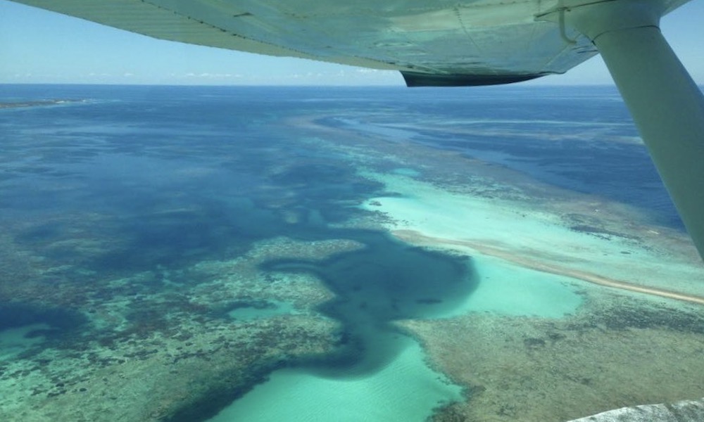 Scenic Flight From Kalbarri To Monkey Mia With A Dolphin Encounter