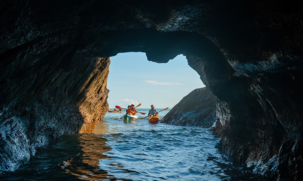 Half Day Kayak Turtle Tour From Palm Cove