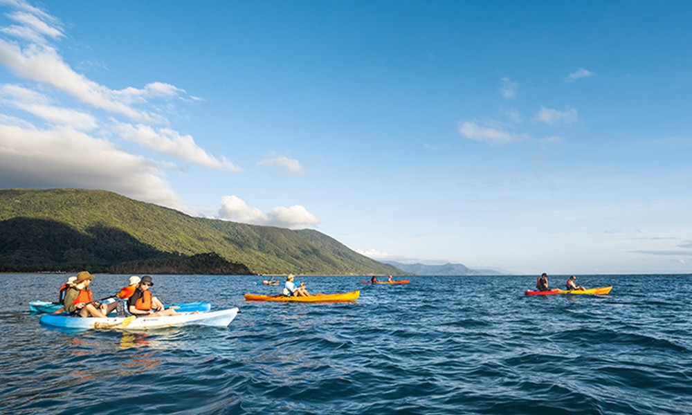 Half Day Kayak Turtle Tour From Palm Cove