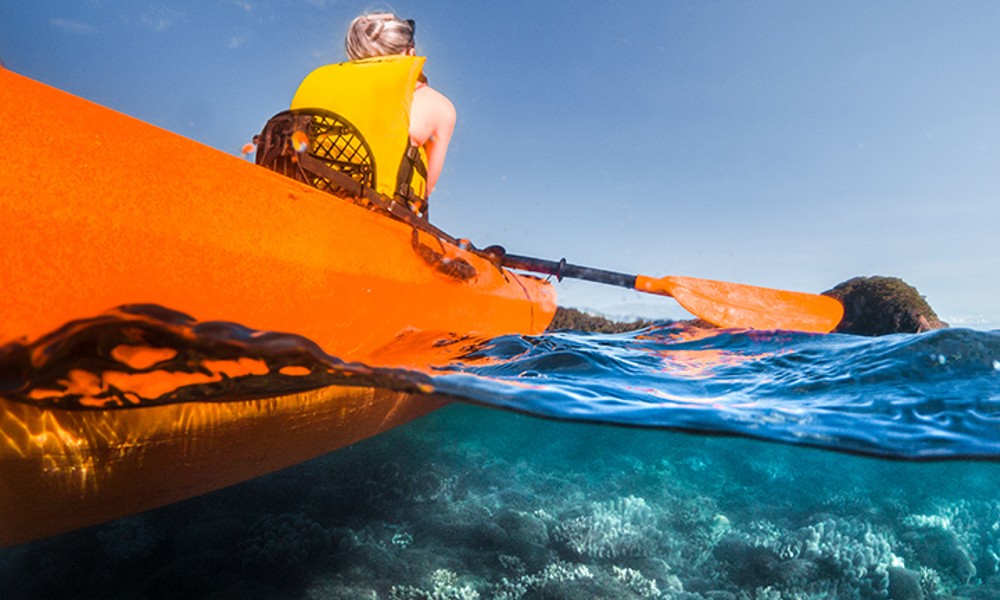 Half Day Kayak Turtle Tour From Palm Cove