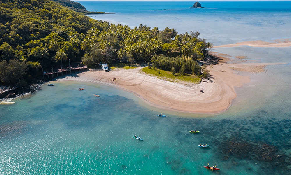 Half Day Kayak Turtle Tour From Palm Cove