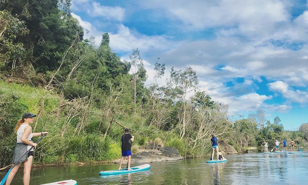 Kuranda Rainforest Stand Up Paddle Tour From Palm Cove