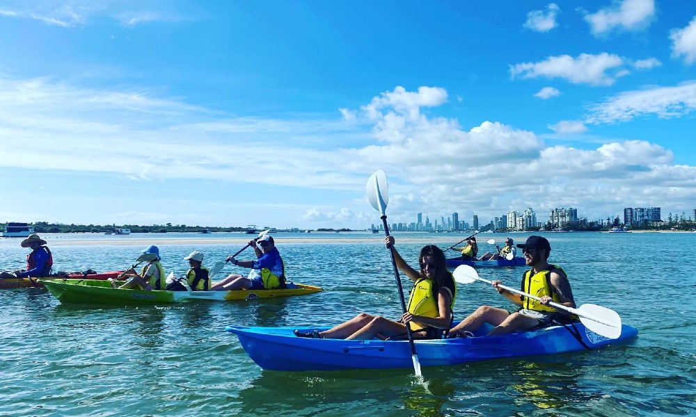 Broadwater Dolphin Kayaking & Snorkeling Tour