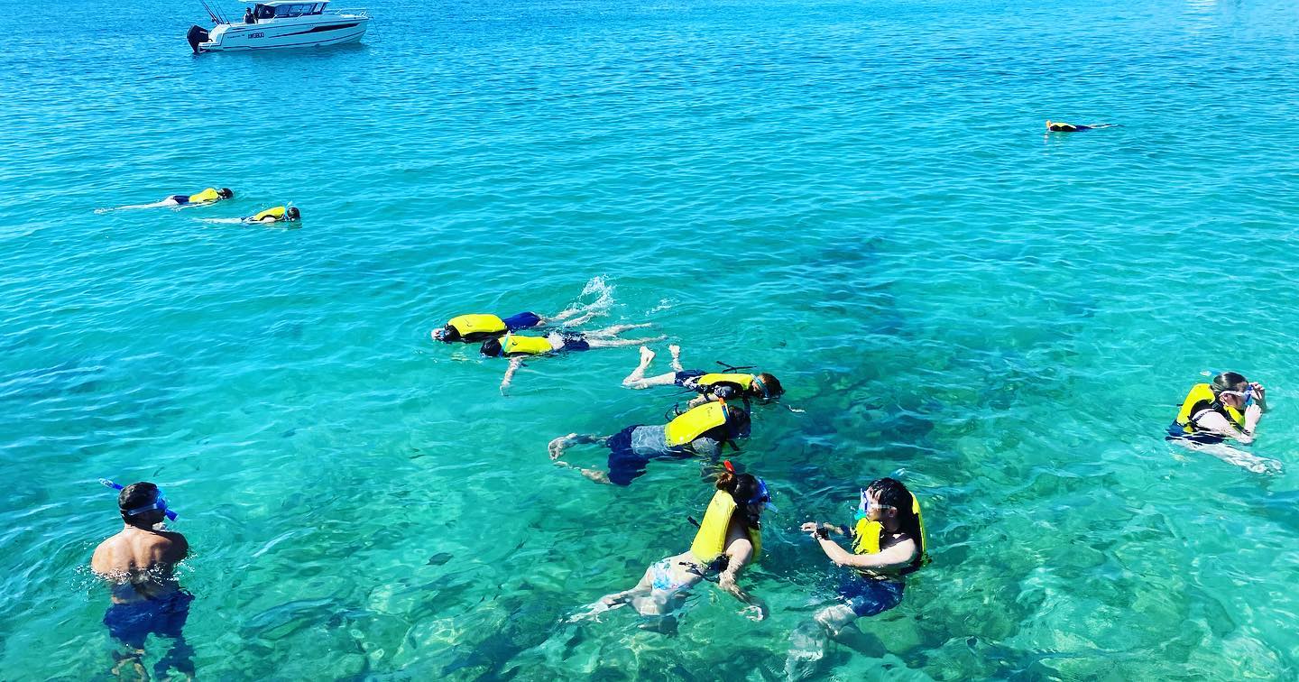 Broadwater Dolphin Kayaking & Snorkeling Tour