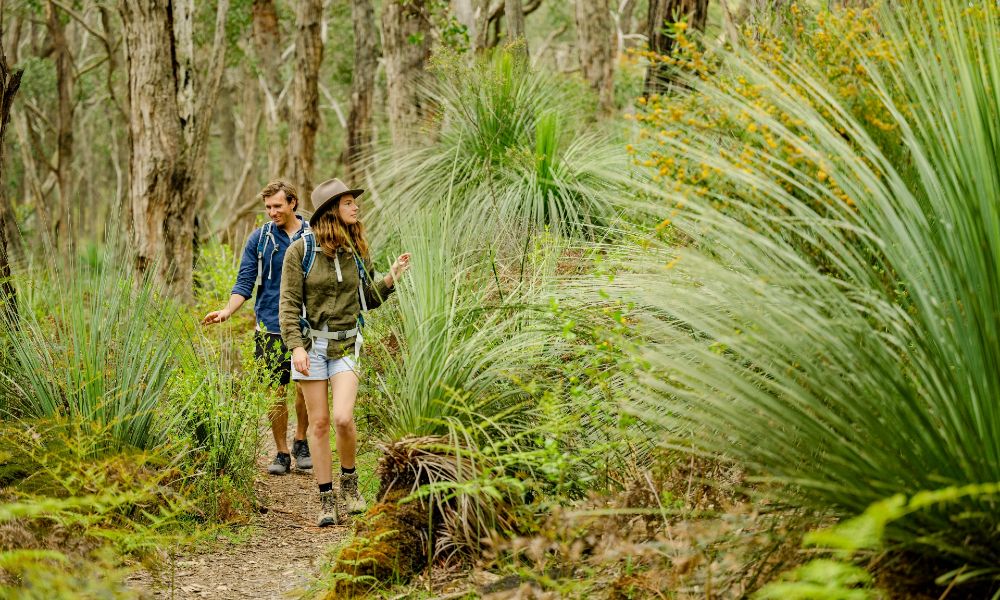 4 Day Southern Ocean Walk From Cape Jervis