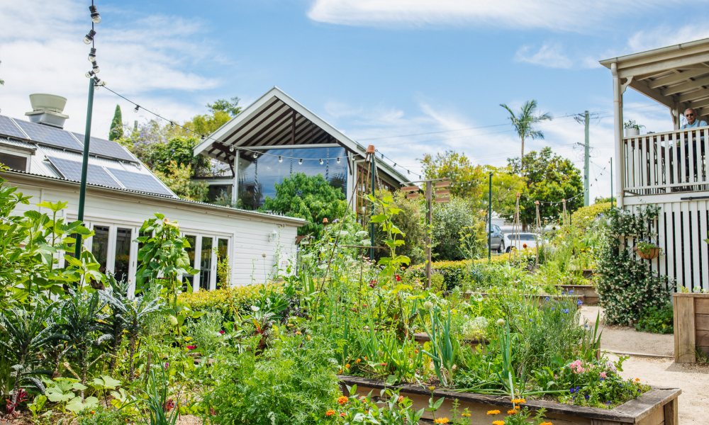 Byron Hinterland Paddock to Plate