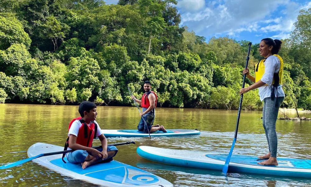 Kuranda Rainforest Stand Up Paddle Tour From Palm Cove