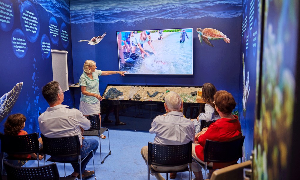 Cairns Aquarium Entry Ticket and Turtle Hospital Tour