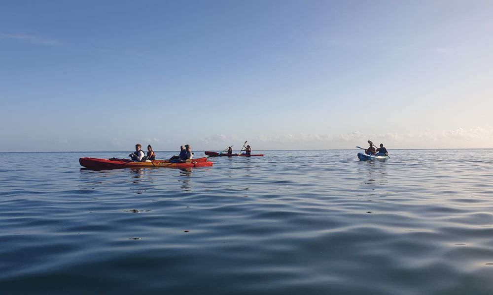 Great Barrier Reef Sunrise Kayak Tour